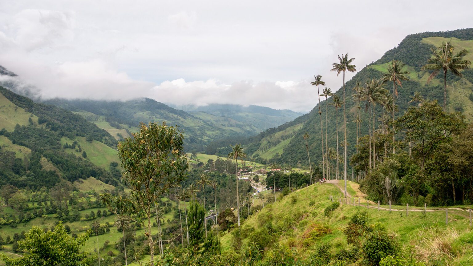  2026 Visit The Cocora Valley The Famous Hike Among The Wax Palms 