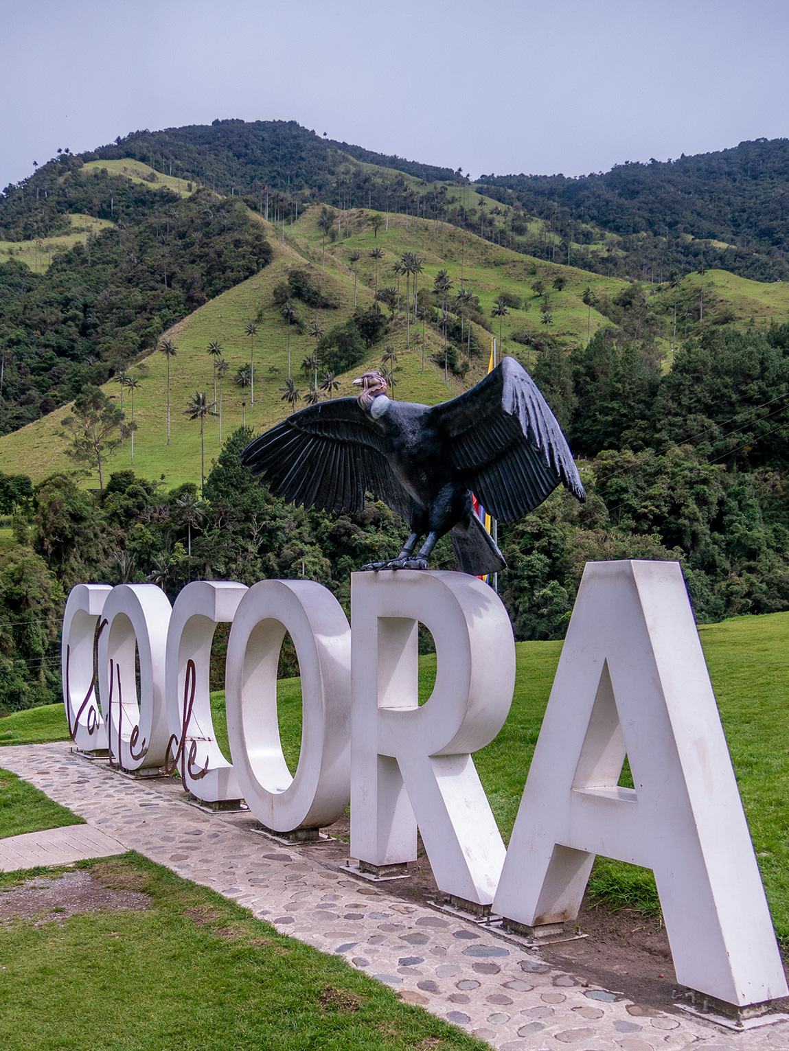 Lettrage de la Vallée de Cocora, Colombie