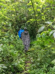 Randonnée dans le Jardin Botanico del Pacifico, région de Bahia Solano (Choco Pacifique), Colombie