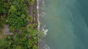 Plage sauvage du Pacifique, région de Bahia Solano (Choco Pacifique), Colombie