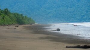 Playa Mecana, région de Bahia Solano (Choco Pacifique), Colombie