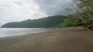 Playa Mecana, région de Bahia Solano (Choco Pacifique), Colombie