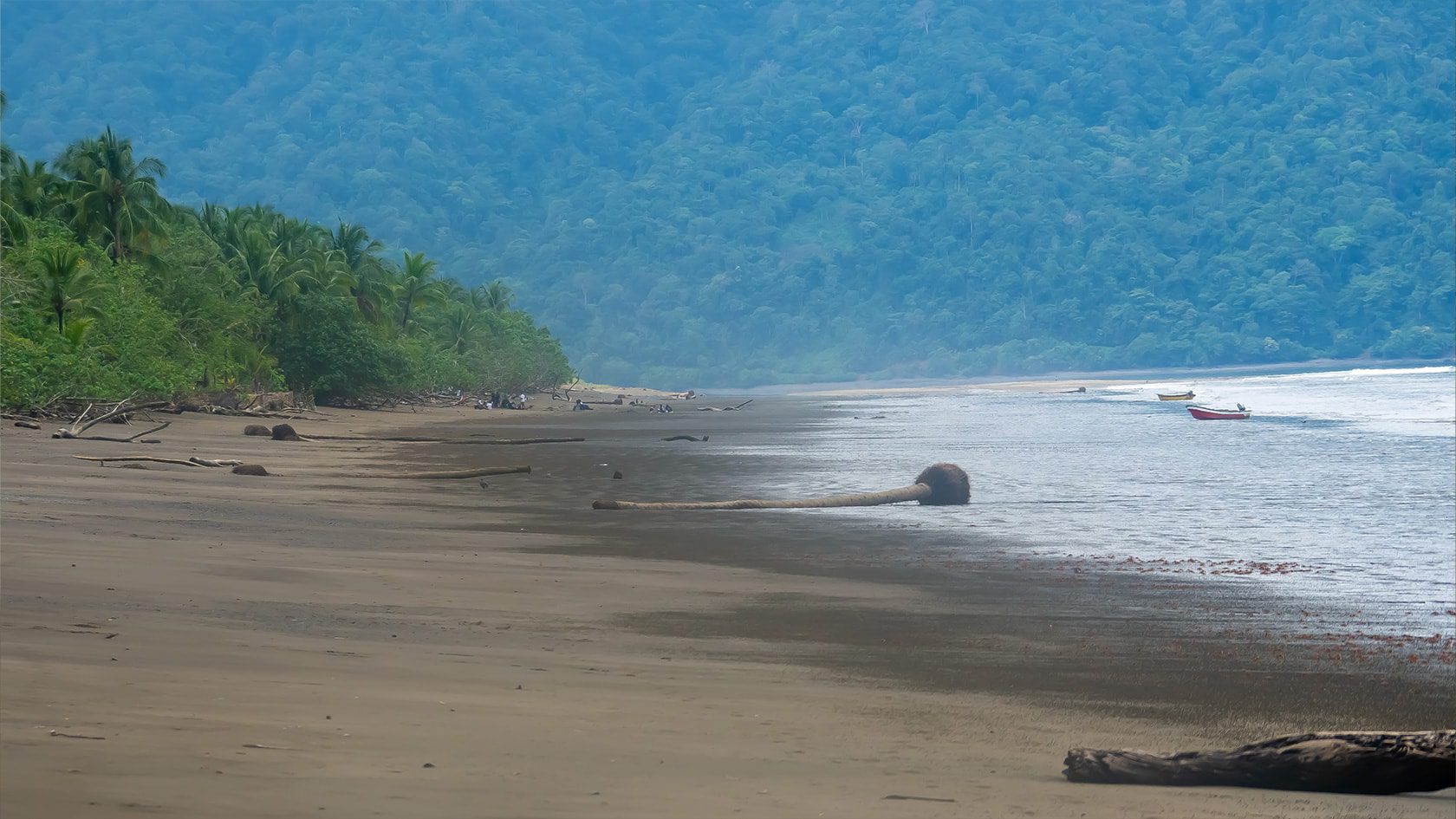 Playa Mecana, région de Bahia Solano (Choco Pacifique), Colombie