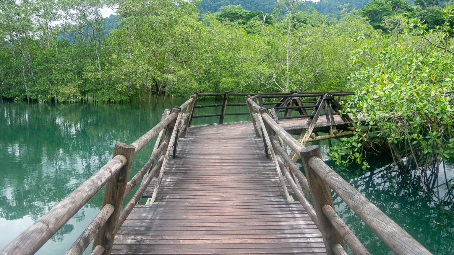 [2026] Visita el Parque Nacional de Utria: entre la selva y el océano ...