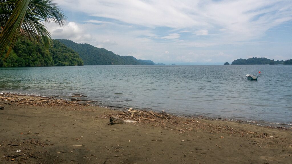 [2026] Visita el Parque Nacional de Utria: entre la selva y el océano ...