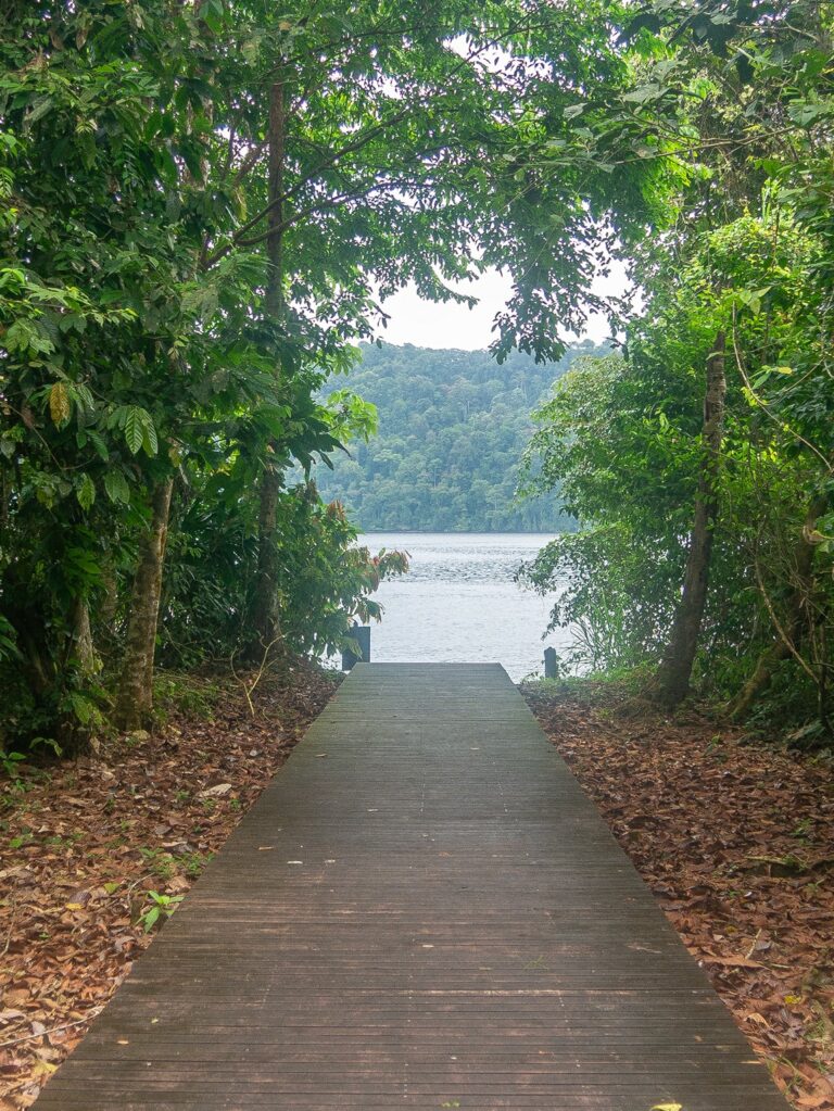 2026 Visita El Parque Nacional De Utria Entre La Selva Y El Oc ano 2026 Visita El Parque Nacional De Utria Entre La Selva Y El Oc ano