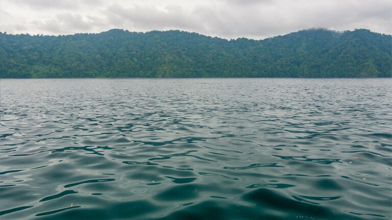 [2026] Visita el Parque Nacional de Utria: entre la selva y el océano ...