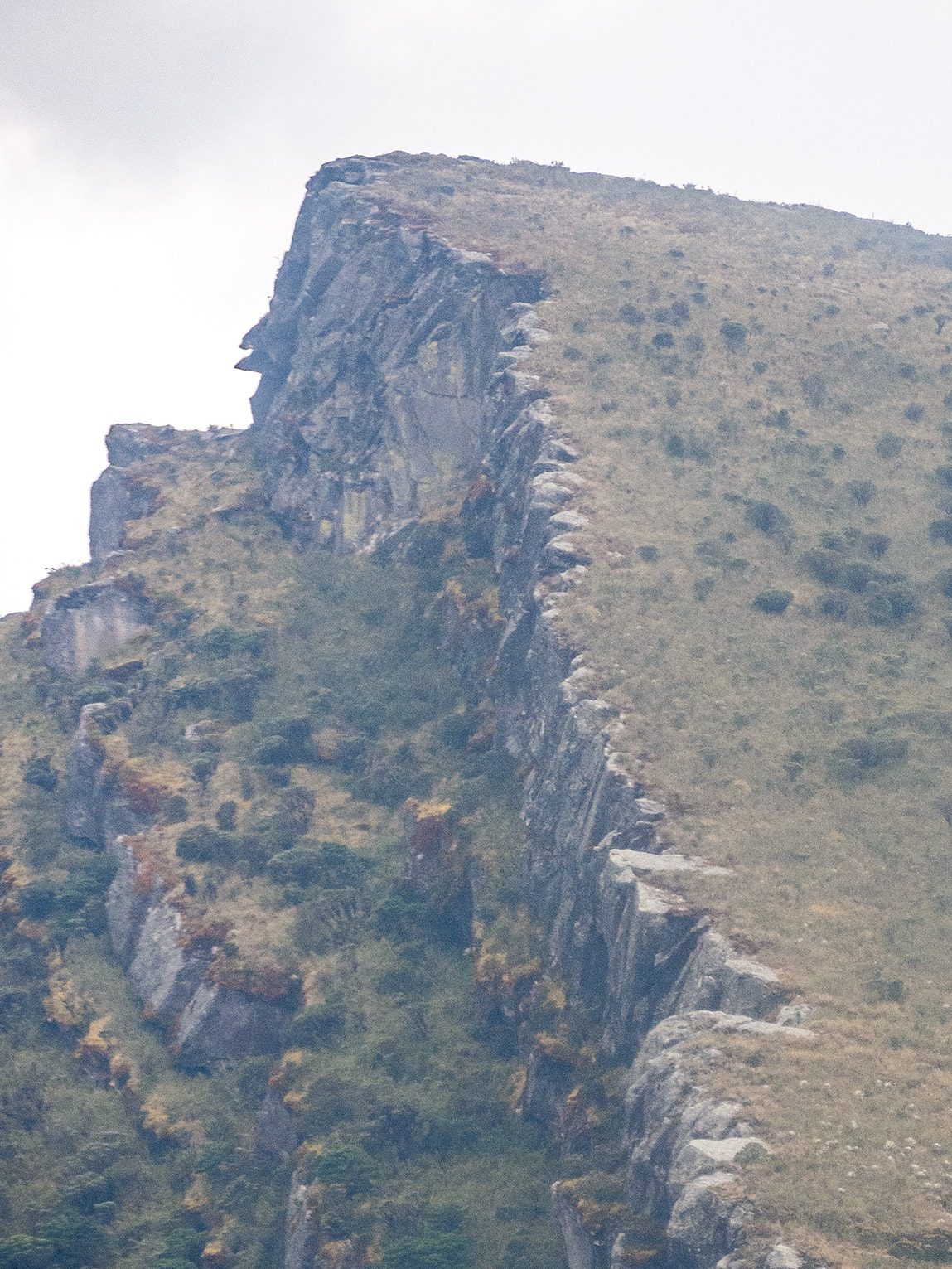 Parc National Chingaza, Andes de Colombie