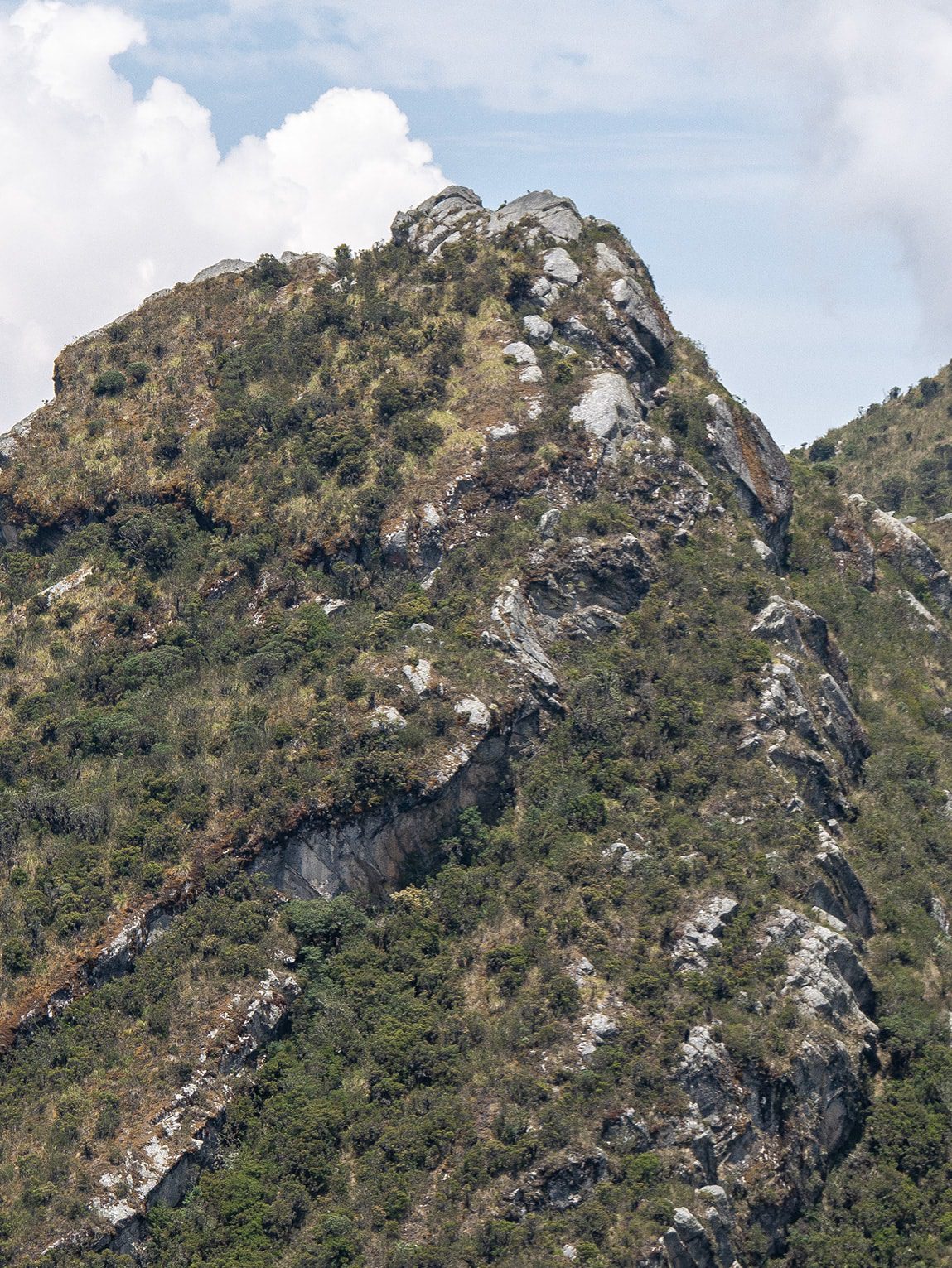 Parc National Chingaza, Andes de Colombie