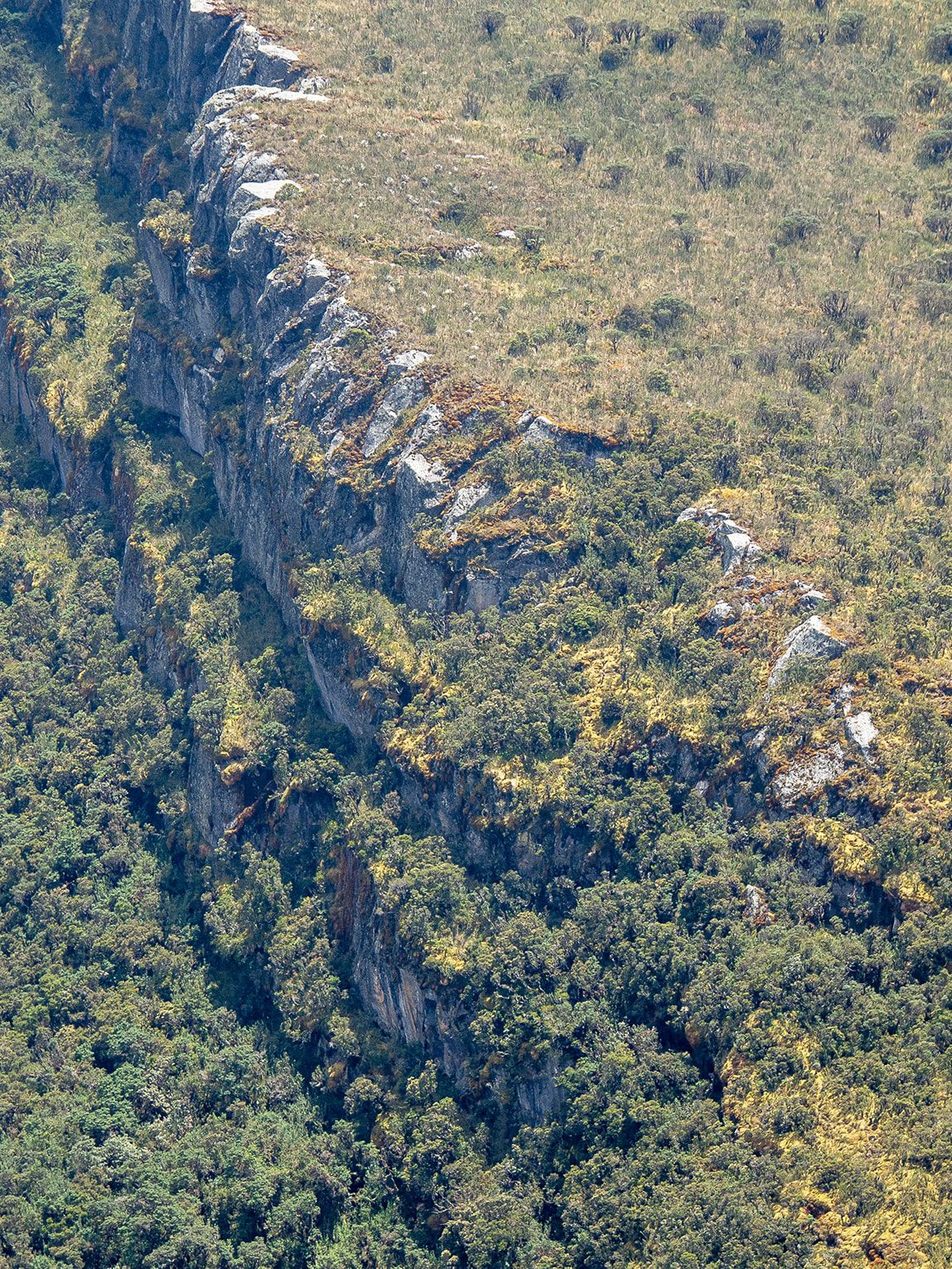 Parc National Chingaza, Andes de Colombie