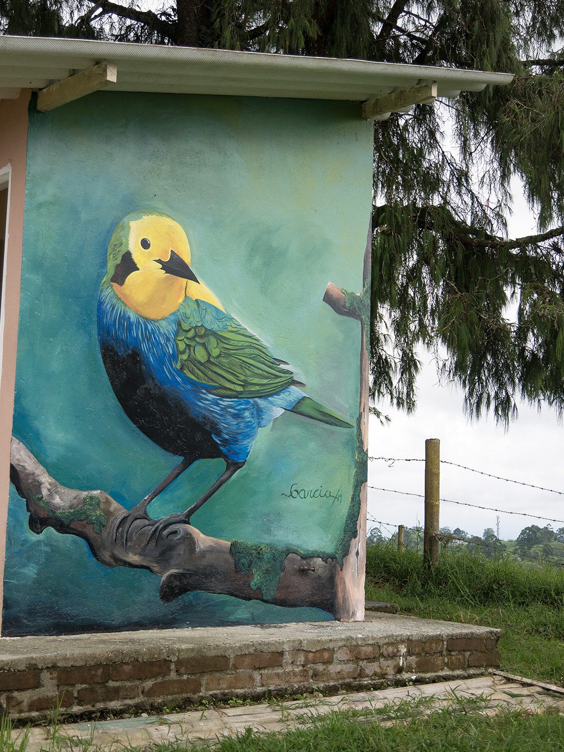 Street Art, Mirador Colina Iluminada, Filandia, Colombie