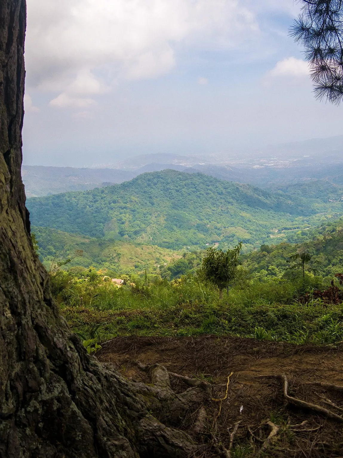 Sierra Nevada de Santa Marta, Minca, Colombie