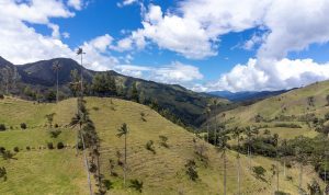 Valle de la Samaria, près de Salamina (Caldas), Colombie