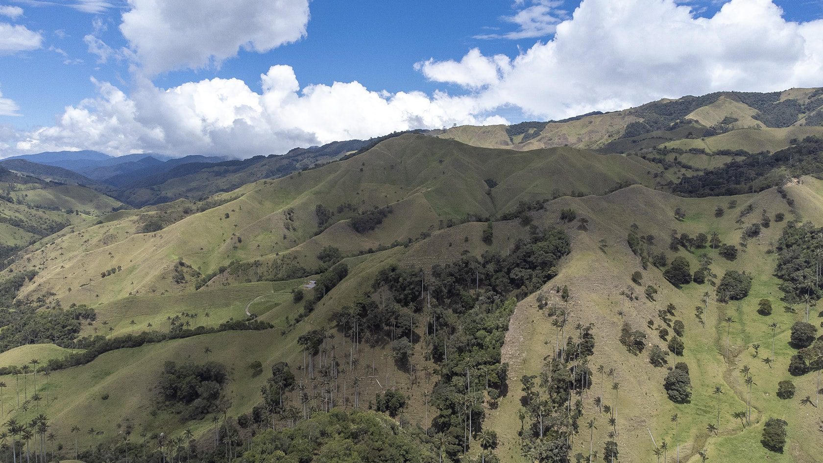 Montagnes, vallée de la Samaria (Caldas), Colombie