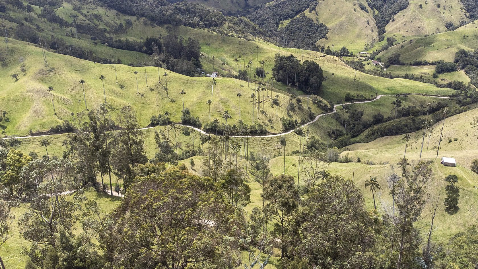 Vallée de la Samaria (Caldas), Colombie