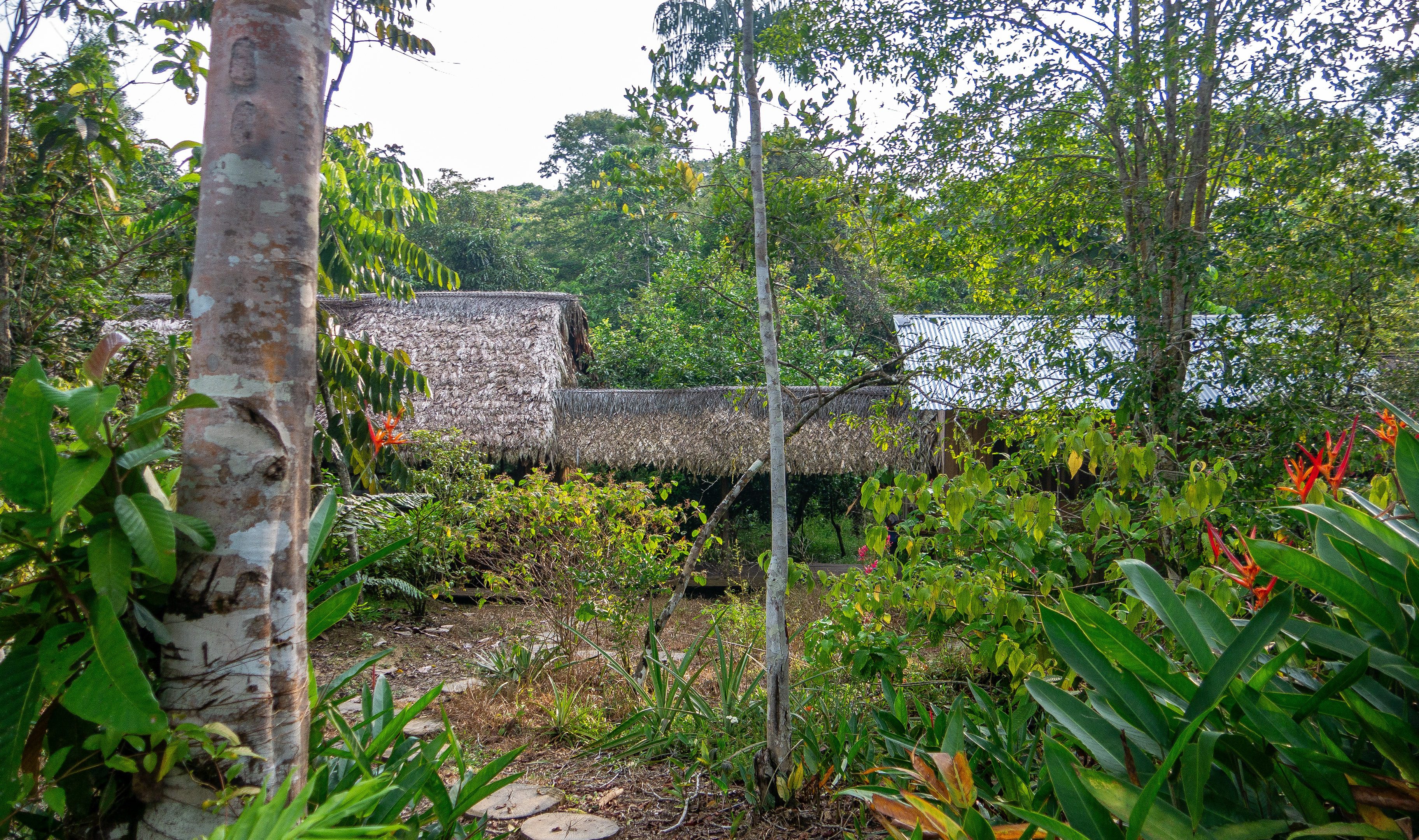 Yoi Ecolodge, Amazonie, Colombie