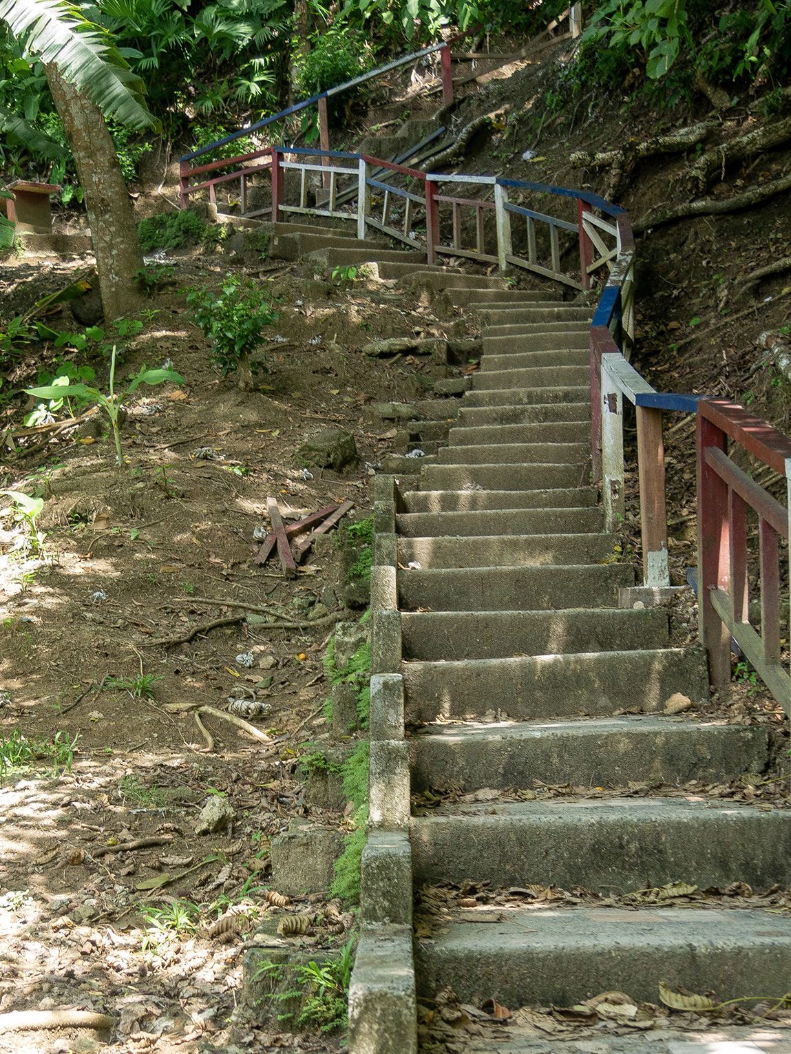 Escaliers menant vers La Miel au Panama, accessible depuis Sapzurro, Colombie