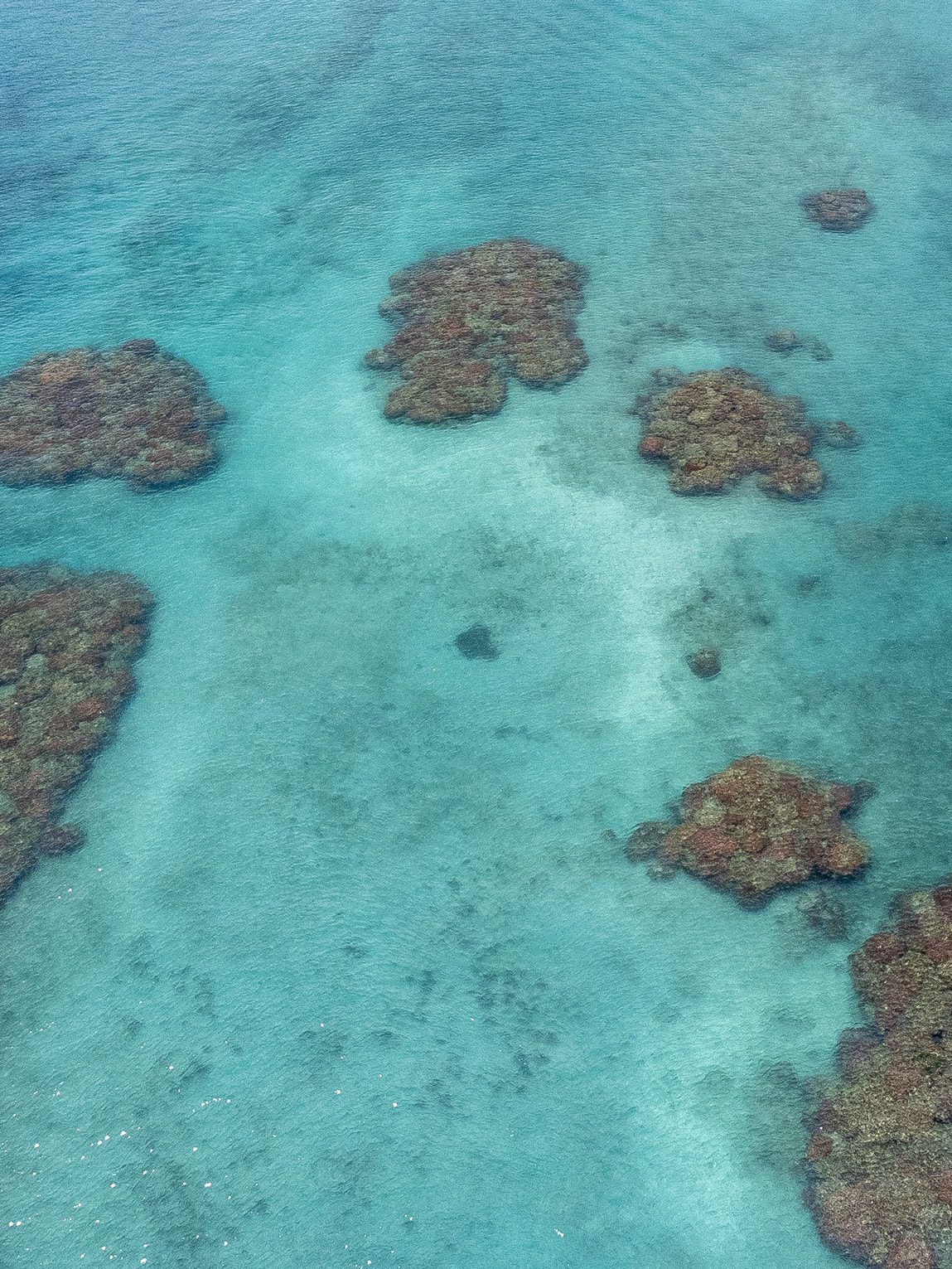 Playa del Ica à Sapzurro (Choco caribéen), Colombie