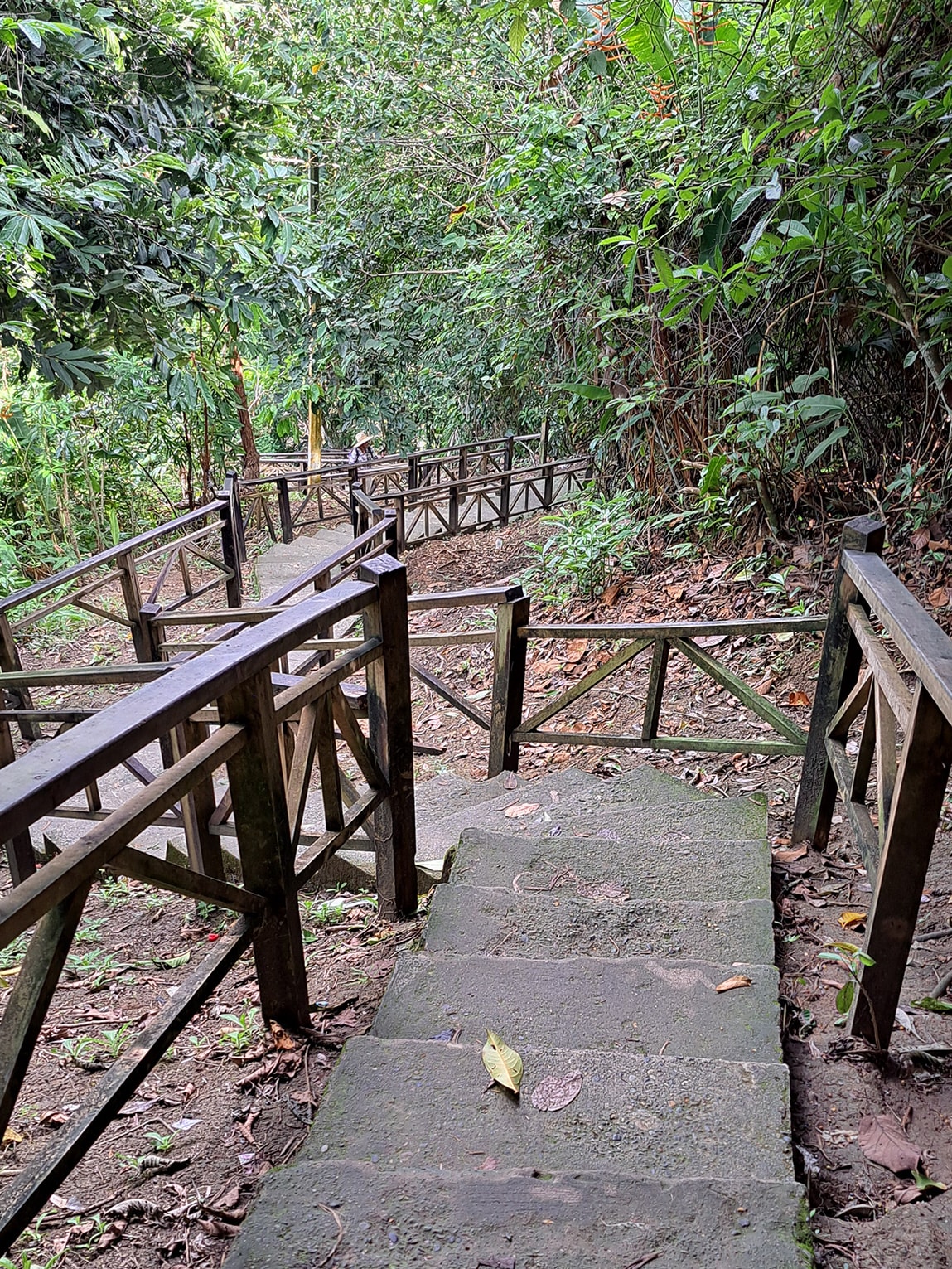 Escaliers vers le Panama, Sapzurro (Choco caribéen), Colombie