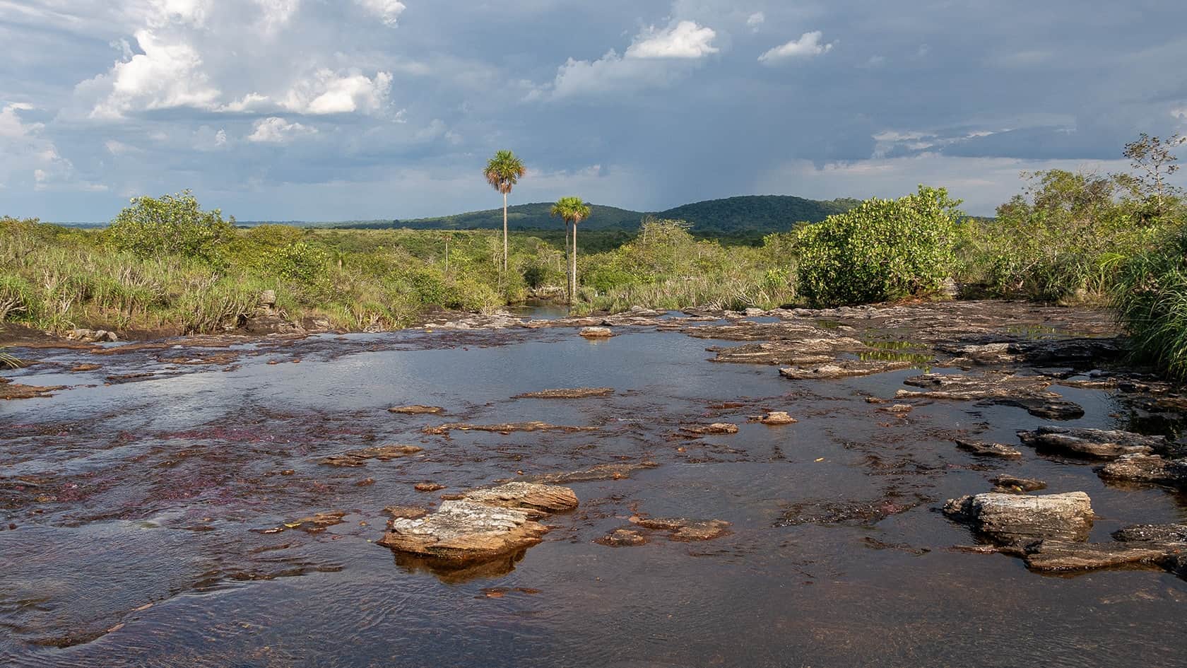 Sentier Caño Cristalito - Mirador, Parc National Sierra de la Macarena (Meta), Colombie