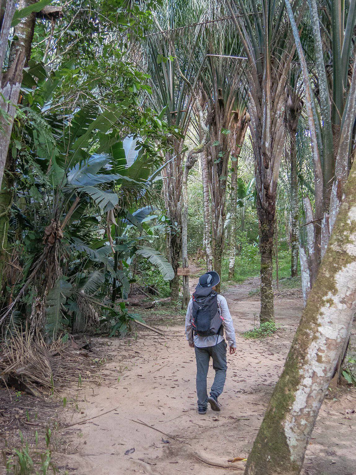 Sentier Caño Cristalito - Mirador, Parc National Sierra de la Macarena (Meta), Colombie