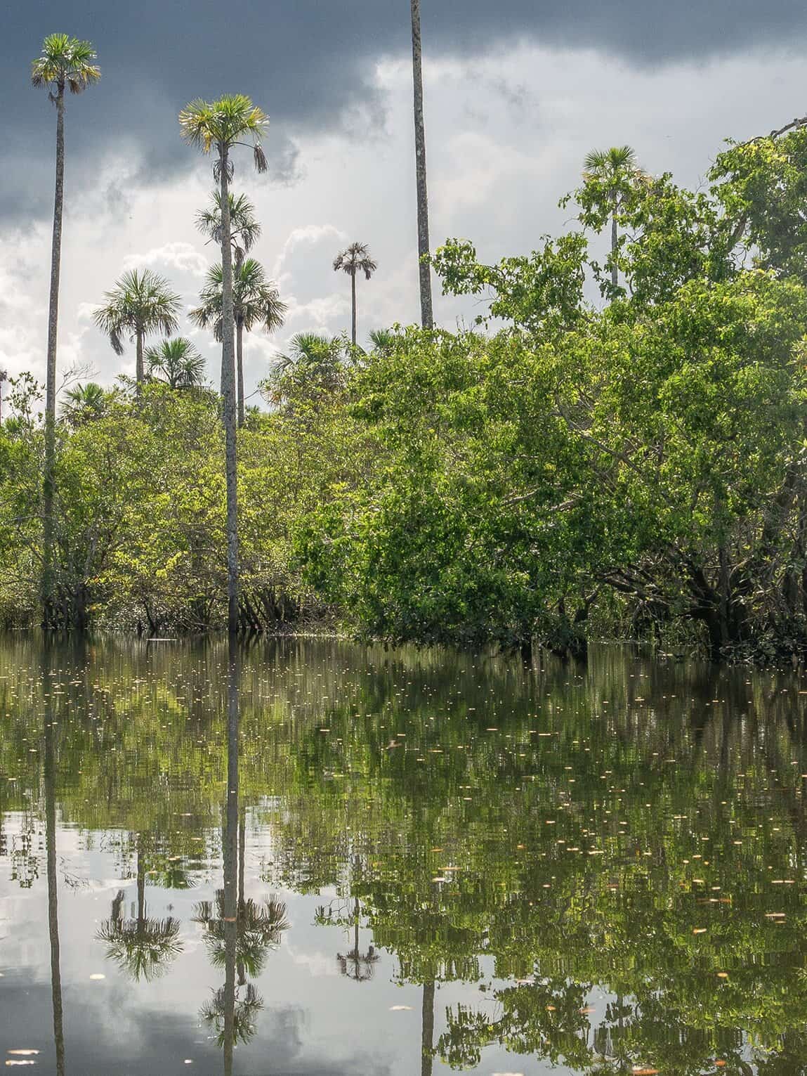 Sentier Laguna del Silencio, Parc National Sierra de la Macarena (Meta), Colombie