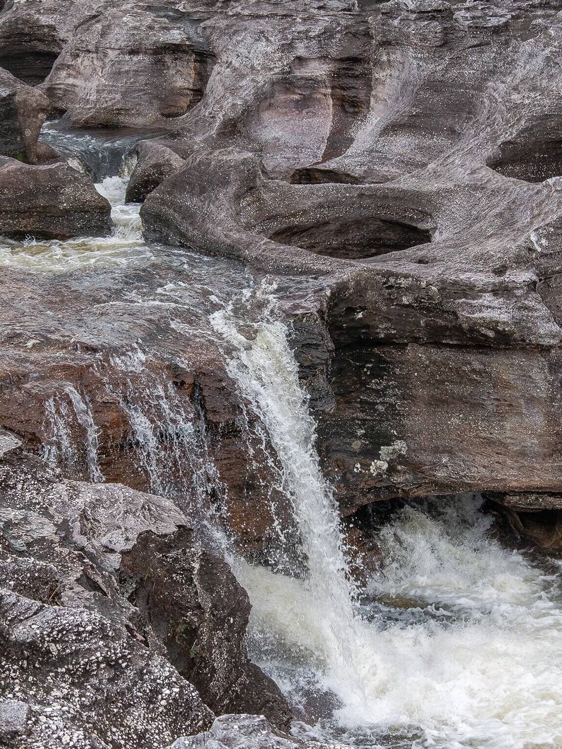 Los Ochos, sentier Los Pianos, Parc National Sierra de la Macarena (Meta), Colombie