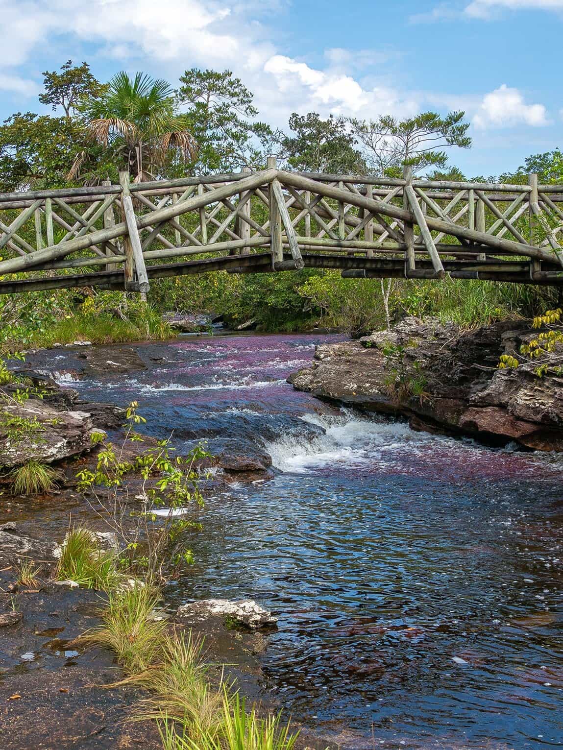 Caño canoa, sentier Los Pianos, Parc National Sierra de la Macarena (Meta), Colombie