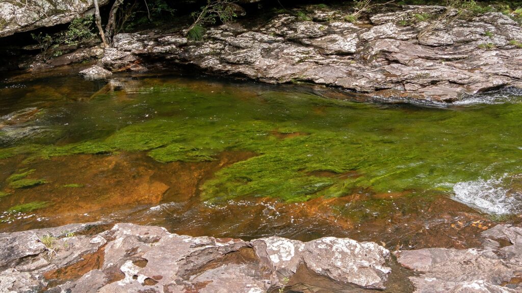 Caño Cristales, Pailones trail, Sierra de la Macarena National Park (Meta), Colombia