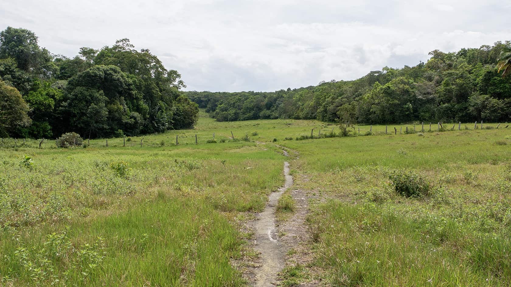 Sentier Pailones, Parc National Sierra de la Macarena (Meta), Colombie