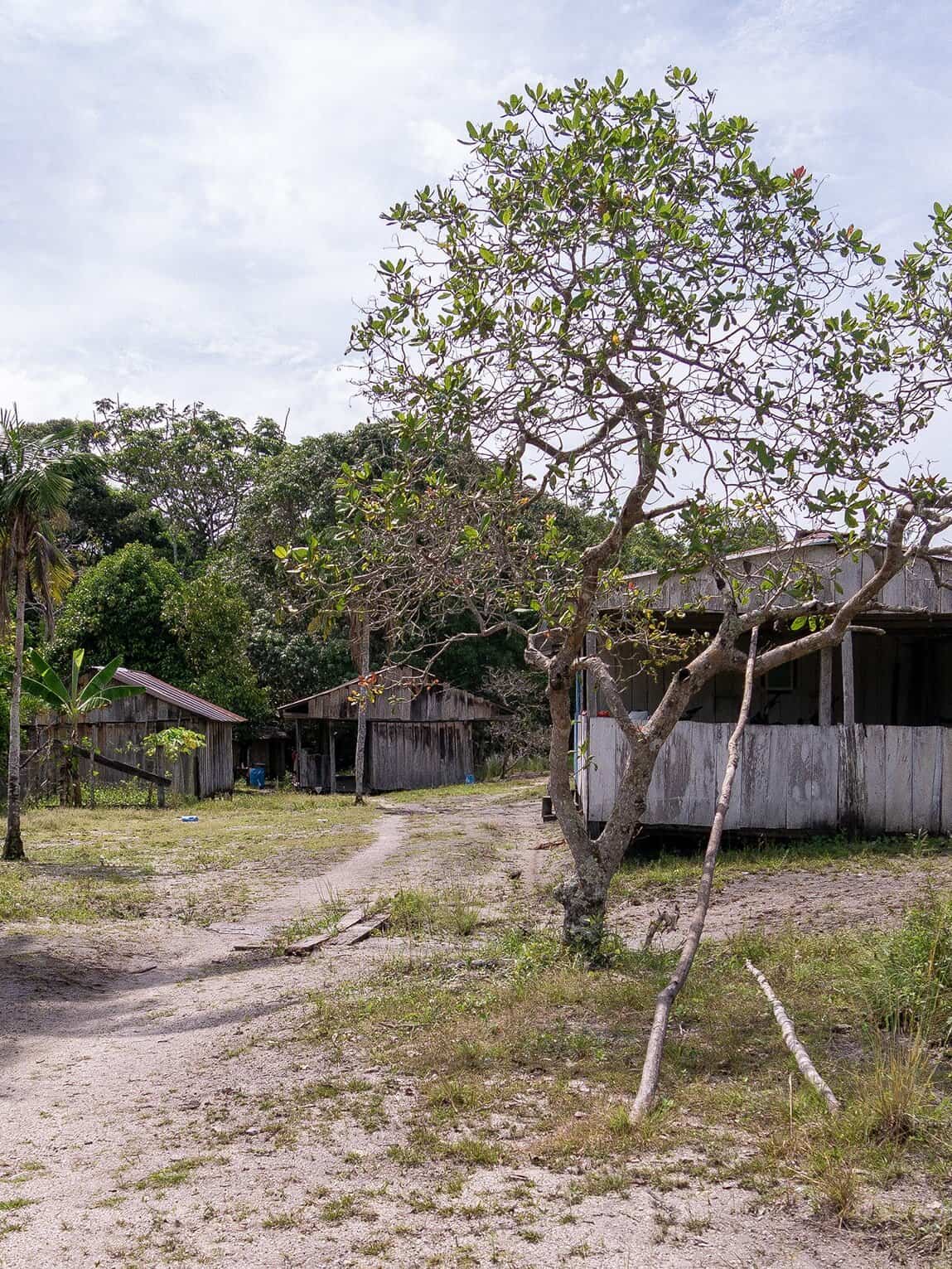 Cabanes, sentier Pailones, Parc National Sierra de la Macarena (Meta), Colombie