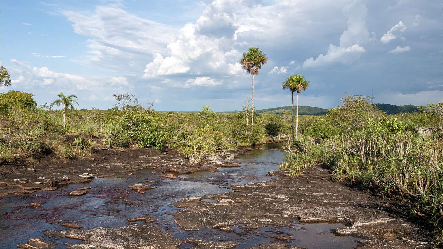 Caño Cristalito, Parc National Sierra de La Macarena, Colombie
