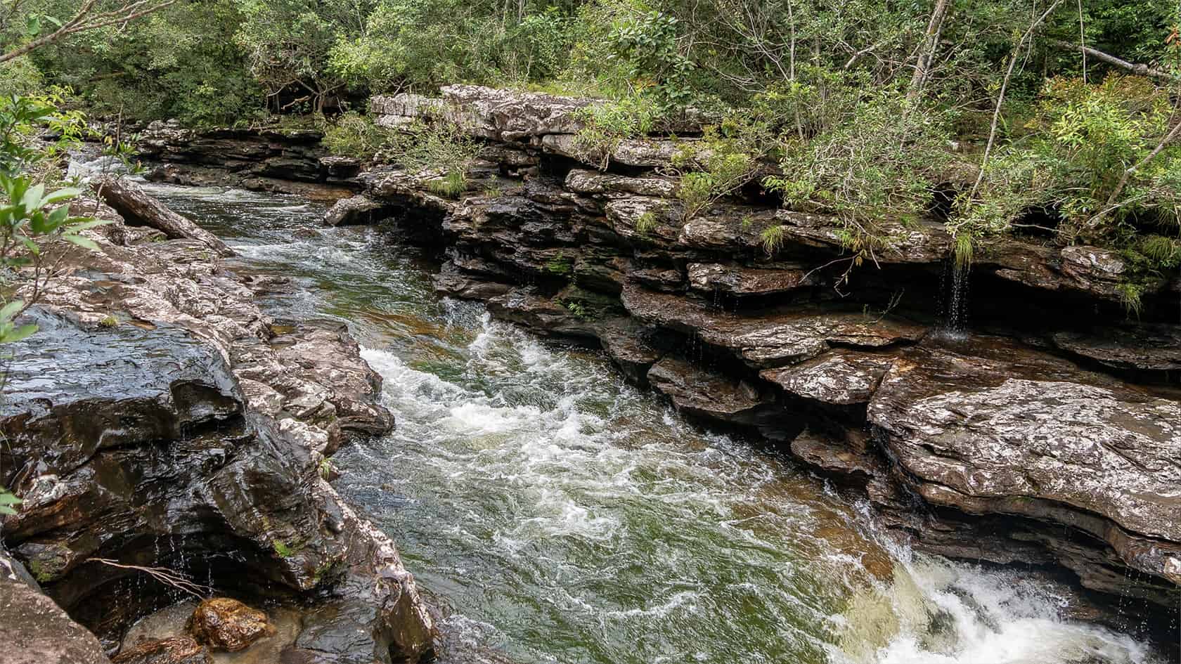 Rivière dans le Parc National Sierra de La Macarena, Colombie