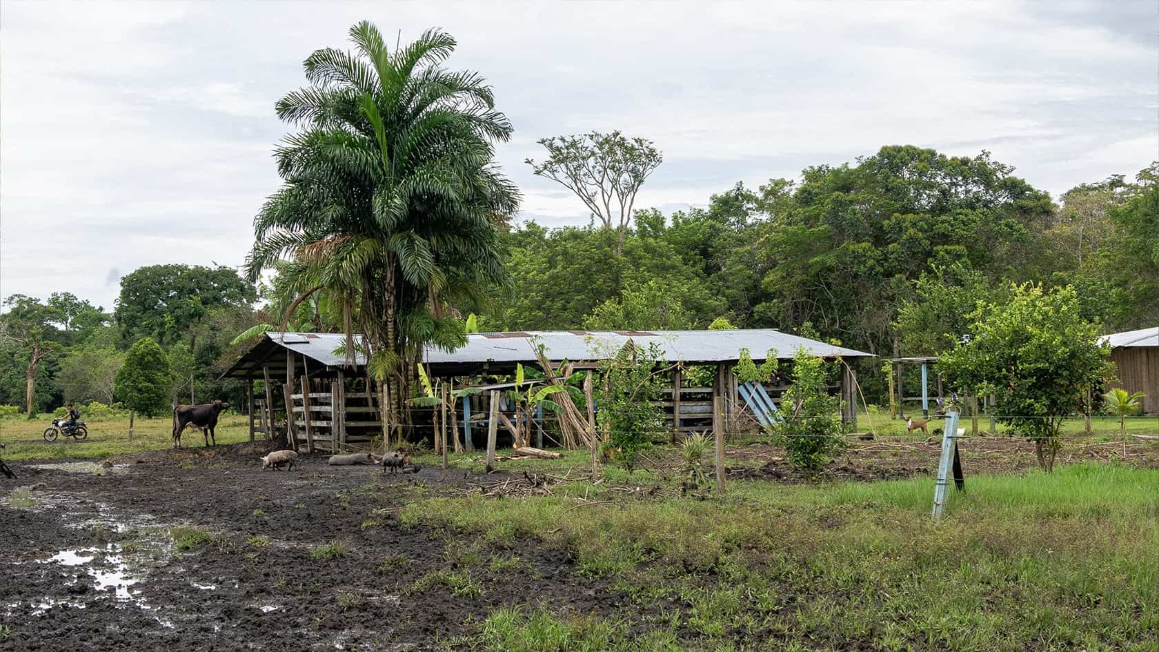 Finca dans le Parc National Sierra de La Macarena, Colombie