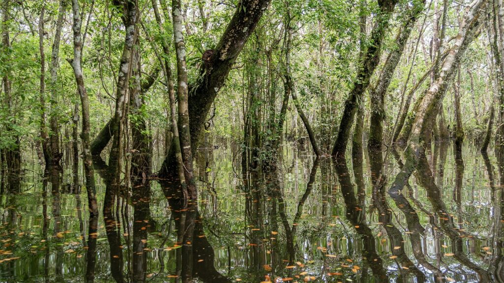 Laguna del Silencio in Sierra de La Macarena National Park, Colombia