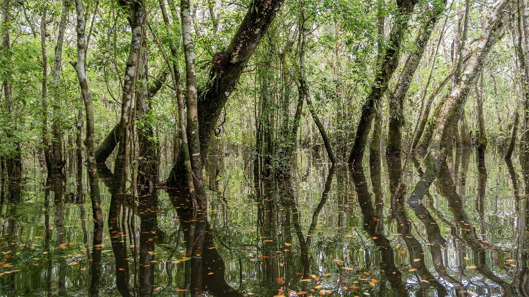 Laguna del Silencio dans le Parc National Sierra de La Macarena, Colombie