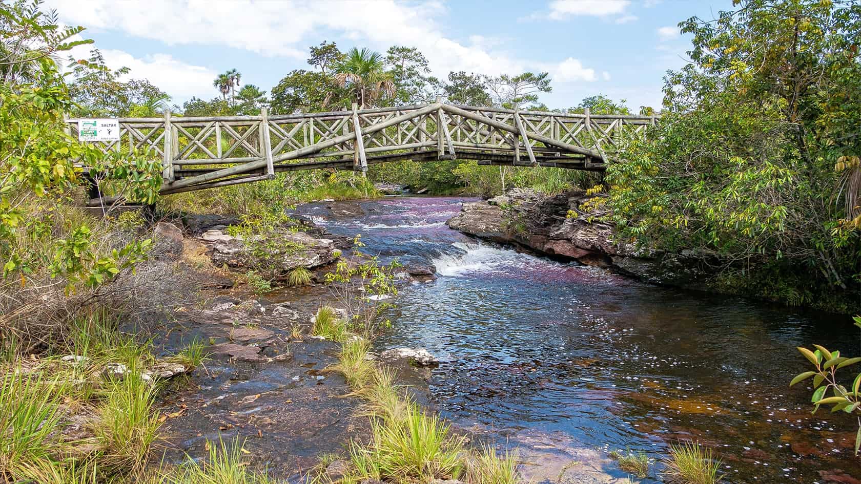 Caño Cristales dans le Parc National Sierra de La Macarena, Colombie