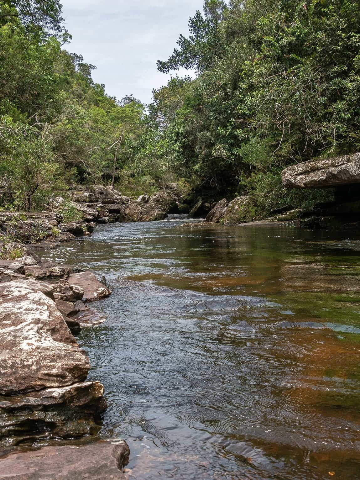 Randonnée dans la forêt, Parc National Sierra de La Macarena, Colombie