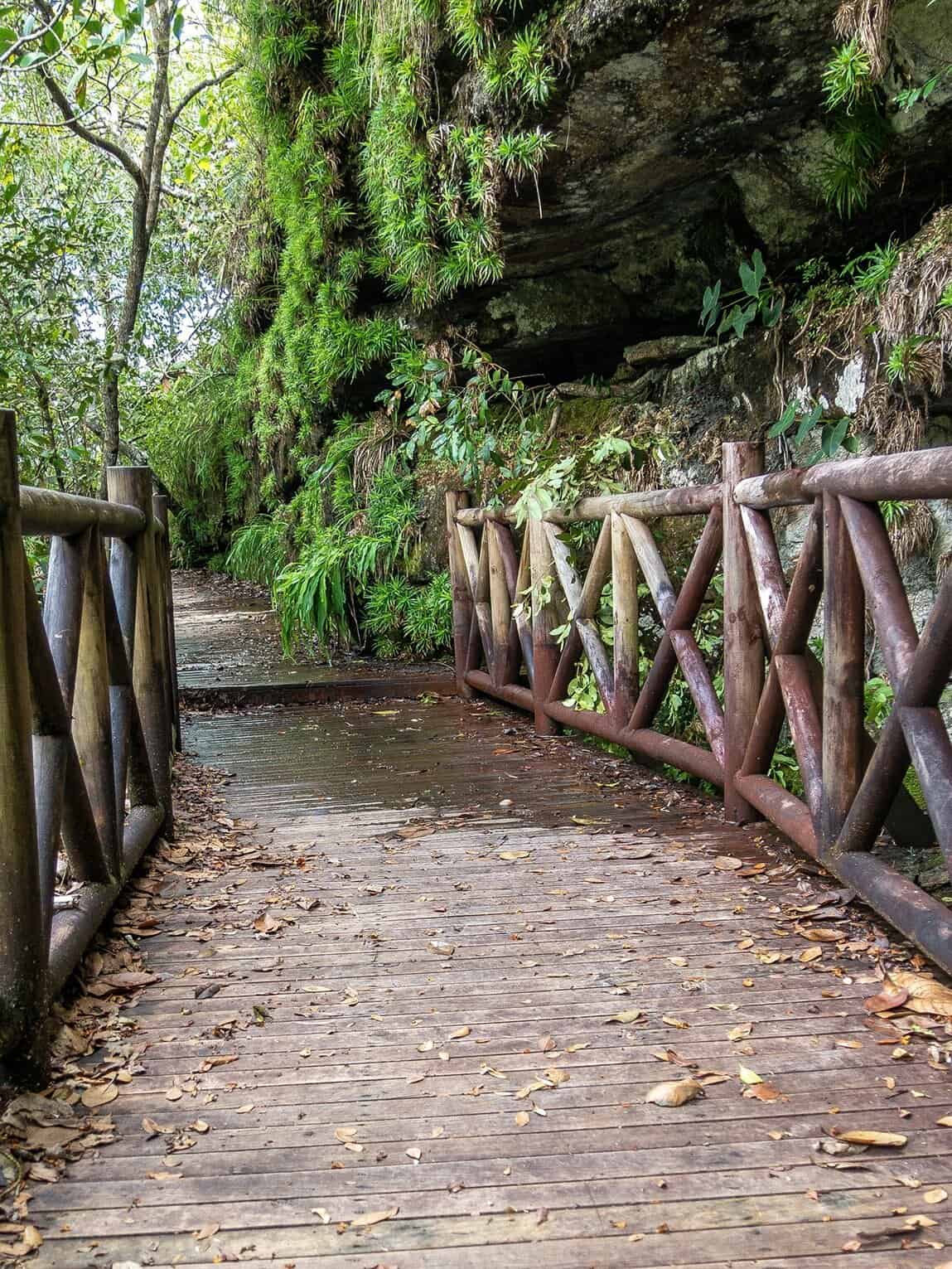 Sentier en ponton vers la la Cascade los Cuarzos dans le Parc National Sierra de La Macarena, Colombie