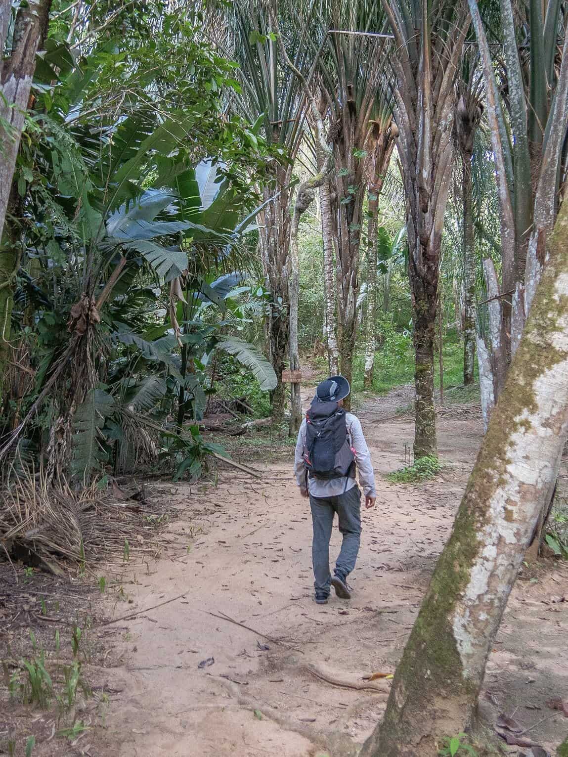 Randonnée Cristalito dans le Parc National Sierra de La Macarena, Colombie