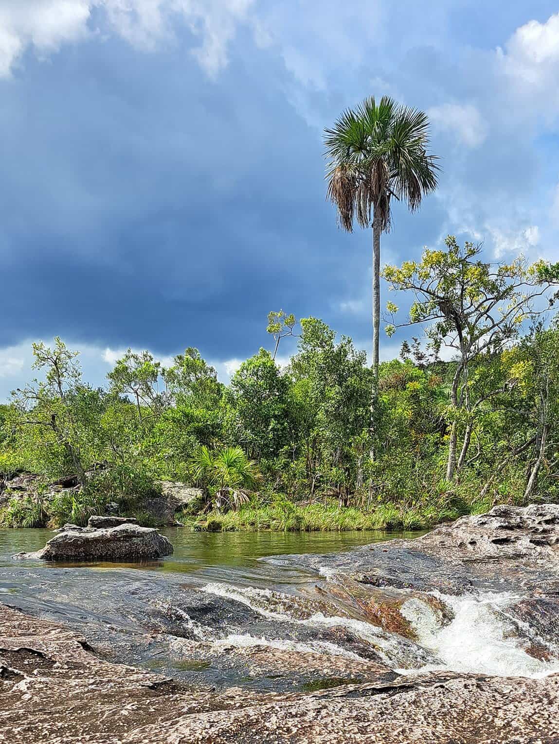 Los Ochos dans le Parc National Sierra de La Macarena, Colombie