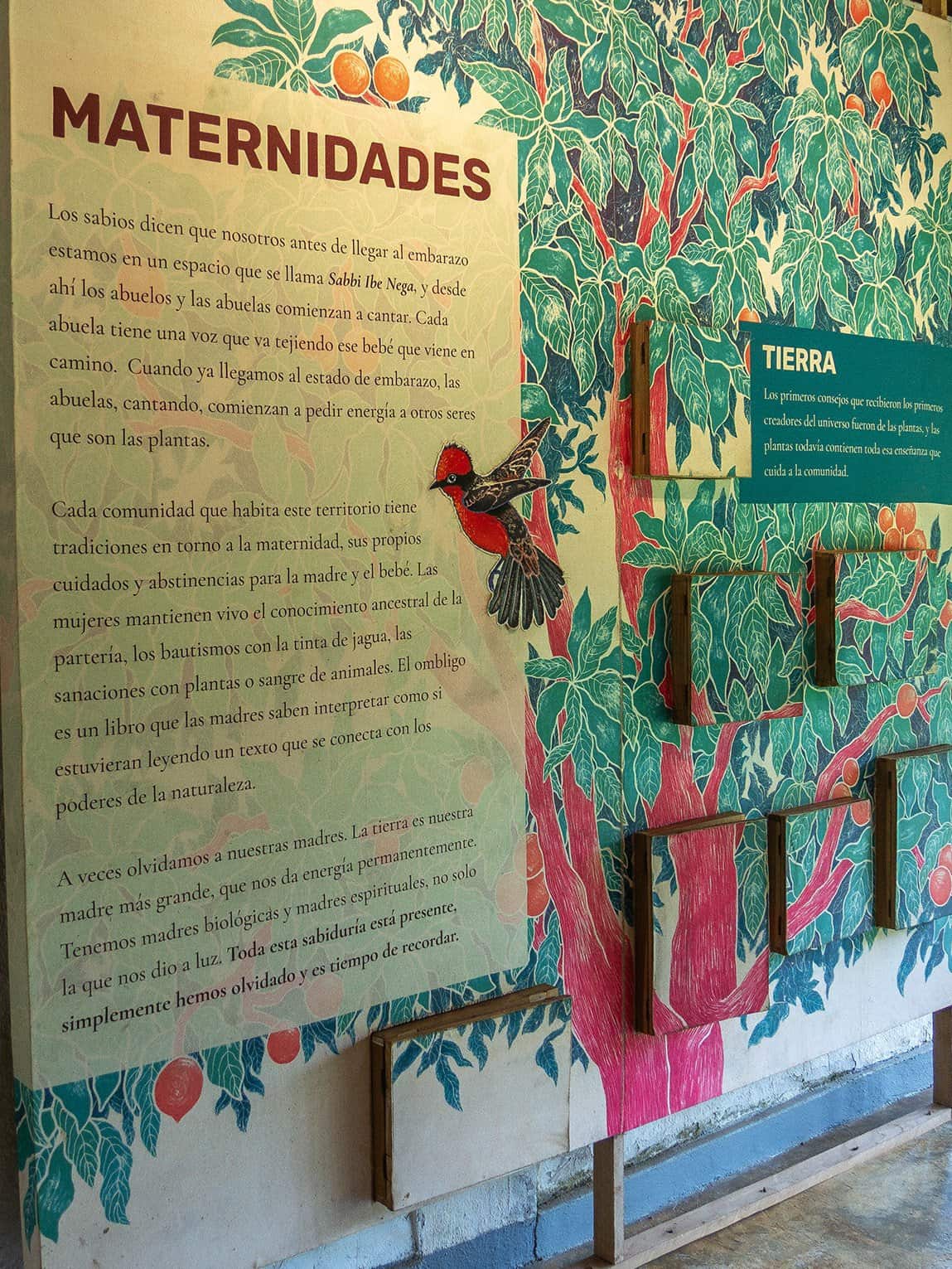 Panneau informatif sur la culture indigène, Parc archéologique de Santa María la Antigua del Darién, Chocó, Colombie