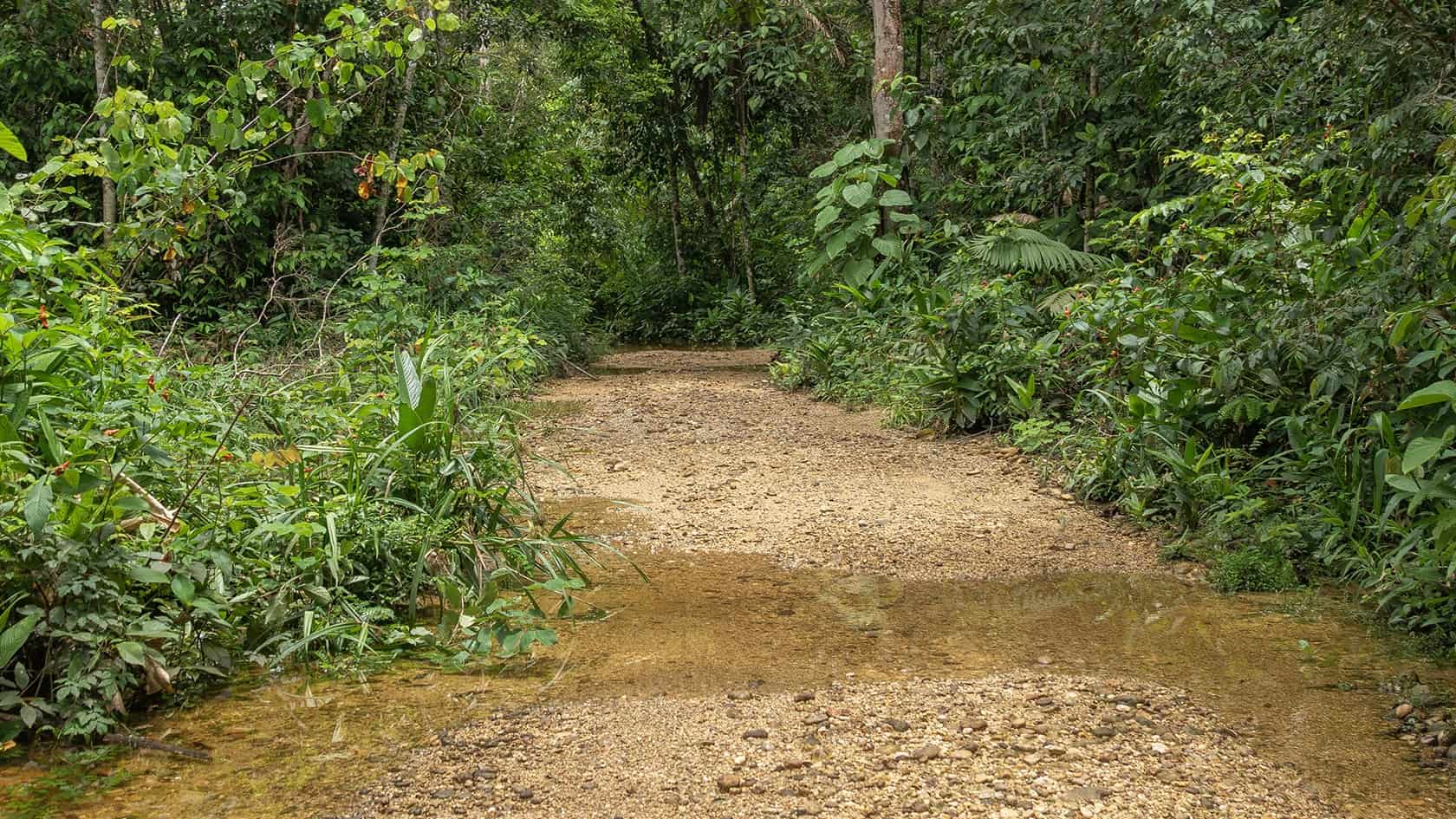 Sentier Laguna del Silencio, Parc National Sierra de la Macarena (Meta), Colombie