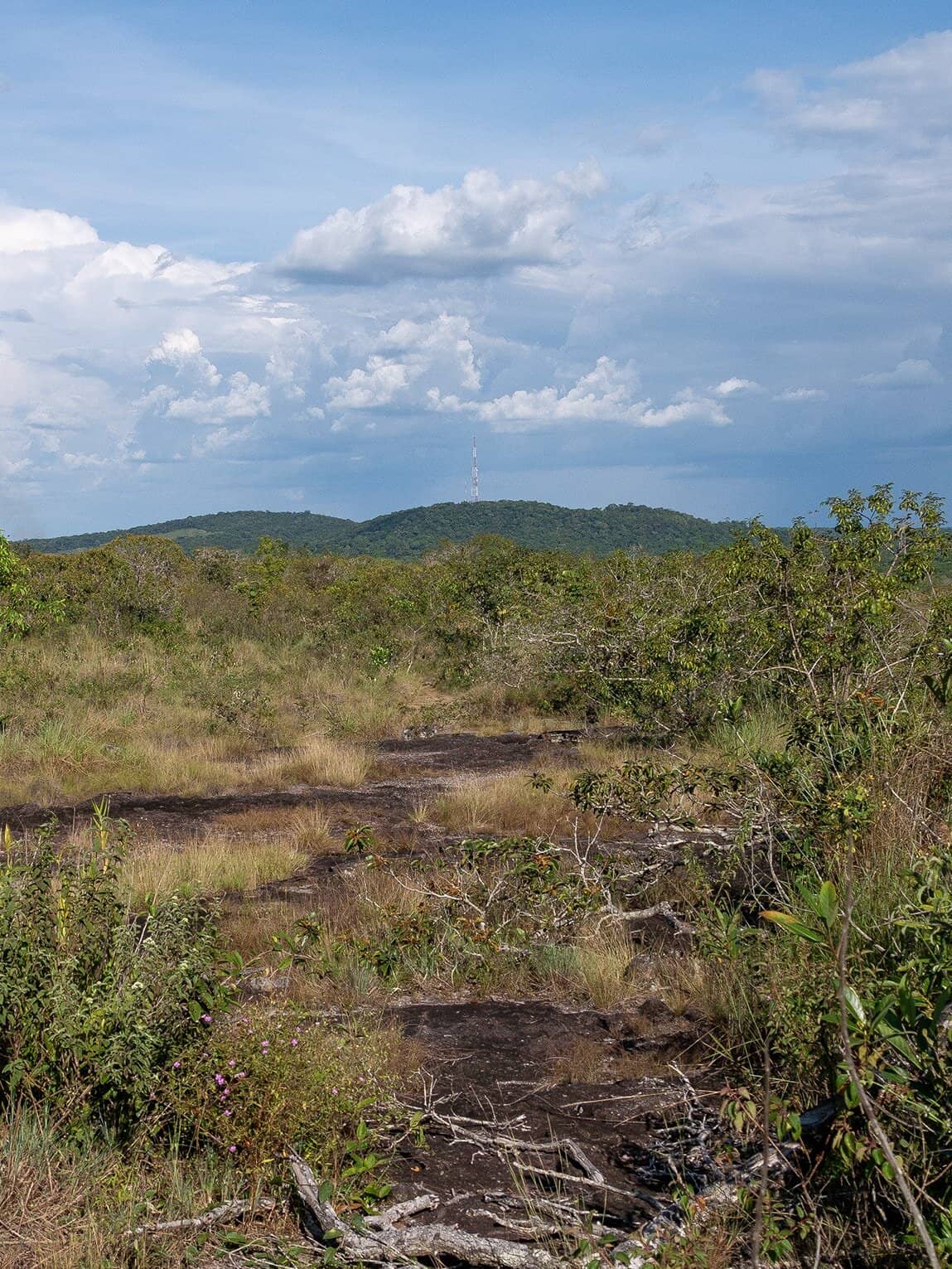 Sentier Caño Cristalitos – Mirador, Parc National Sierra de la Macarena, Colombie