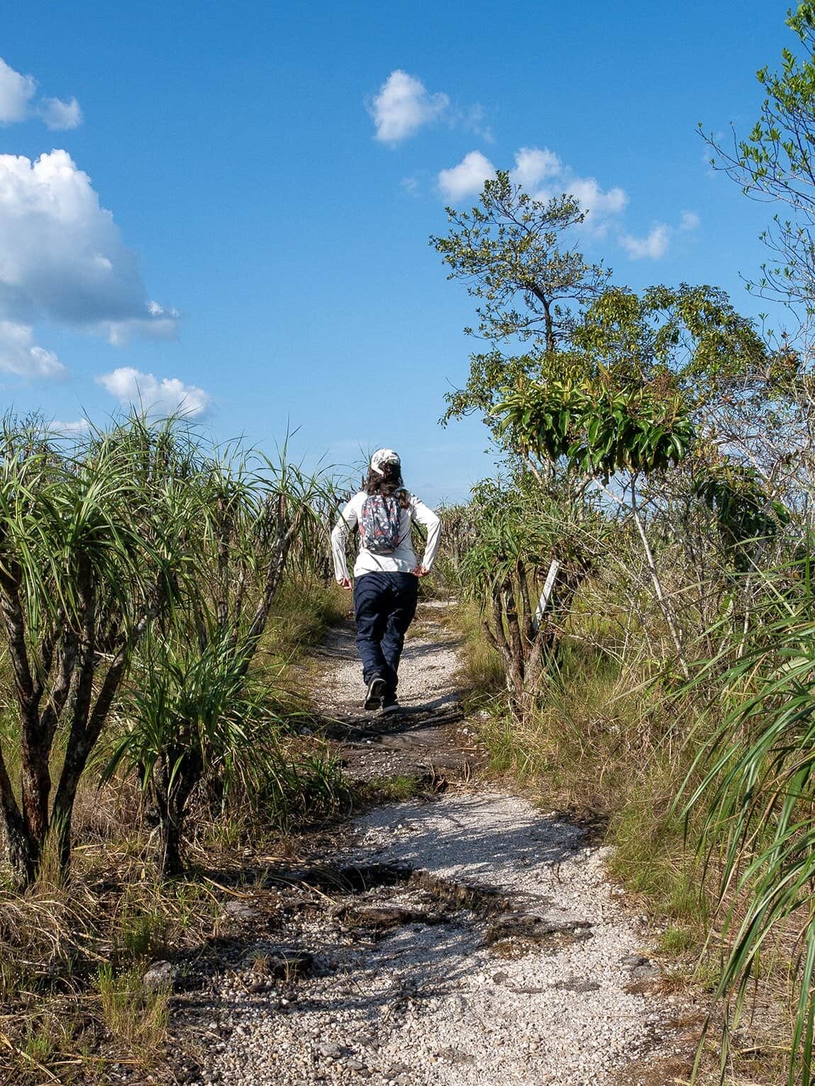 Sentier Caño Cristalitos – Mirador, Parc National Sierra de la Macarena, Colombie