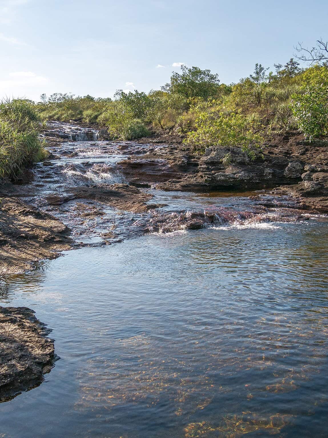 Sentier Caño Cristalitos – Mirador, Parc National Sierra de la Macarena, Colombie