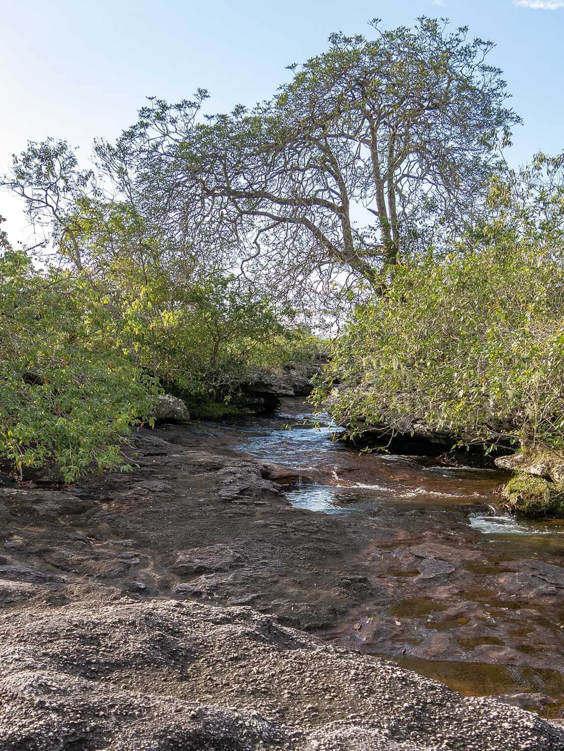 Sentier Caño Cristalitos – Mirador, Parc National Sierra de la Macarena, Colombie