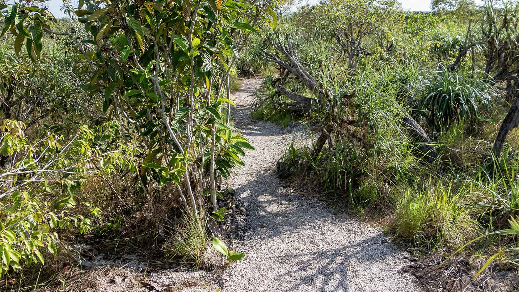 Sentier Caño Cristalitos – Mirador, Parc National Sierra de la Macarena, Colombie