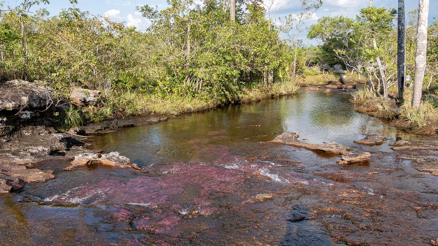 Sentier Caño Cristalitos – Mirador, Parc National Sierra de la Macarena, Colombie