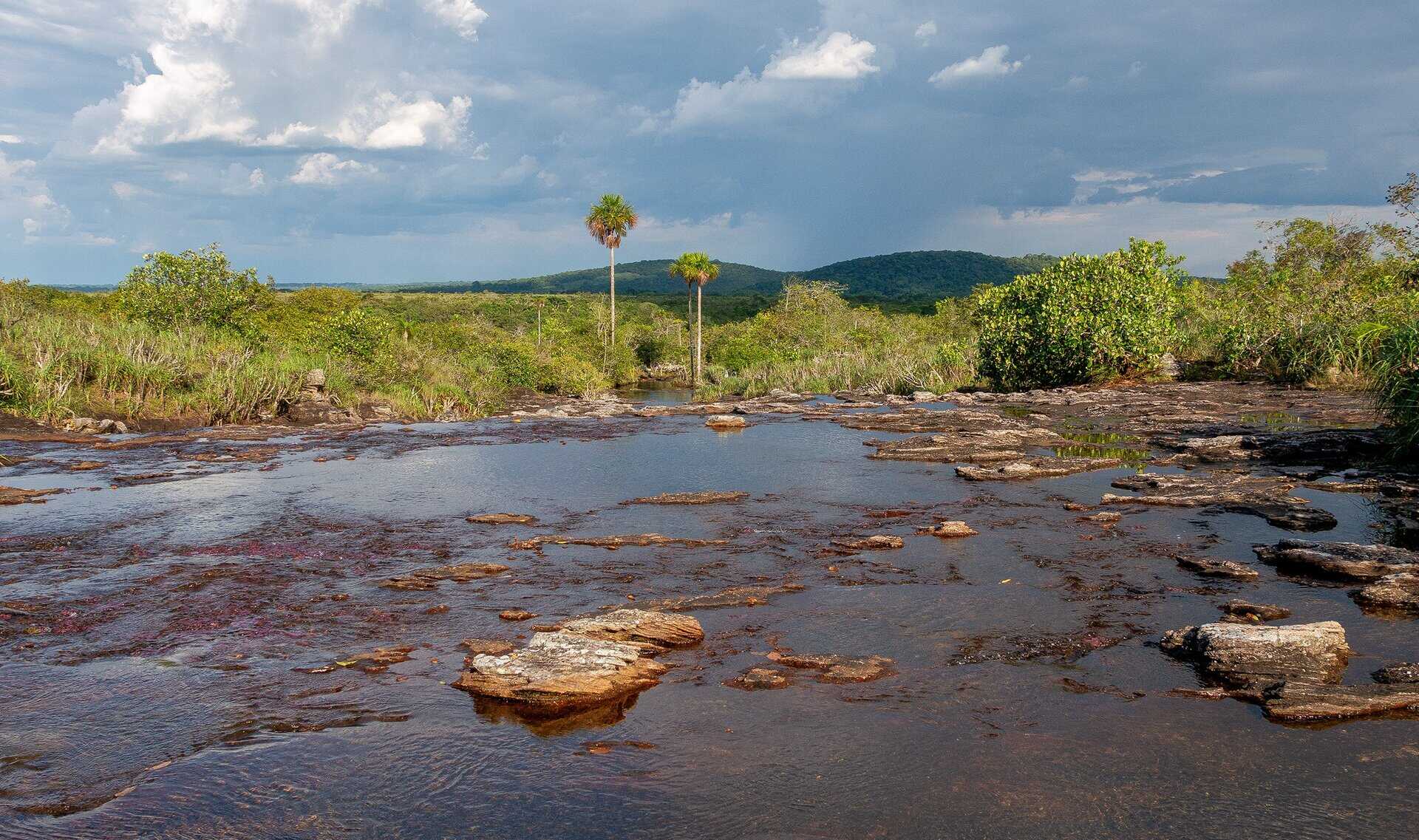Sentier Caño Cristalitos – Mirador, Parc National Sierra de la Macarena, Colombie